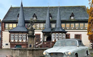 Buitenlandreis